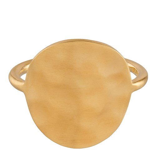 Featured image for “Dublin Ring, gold”